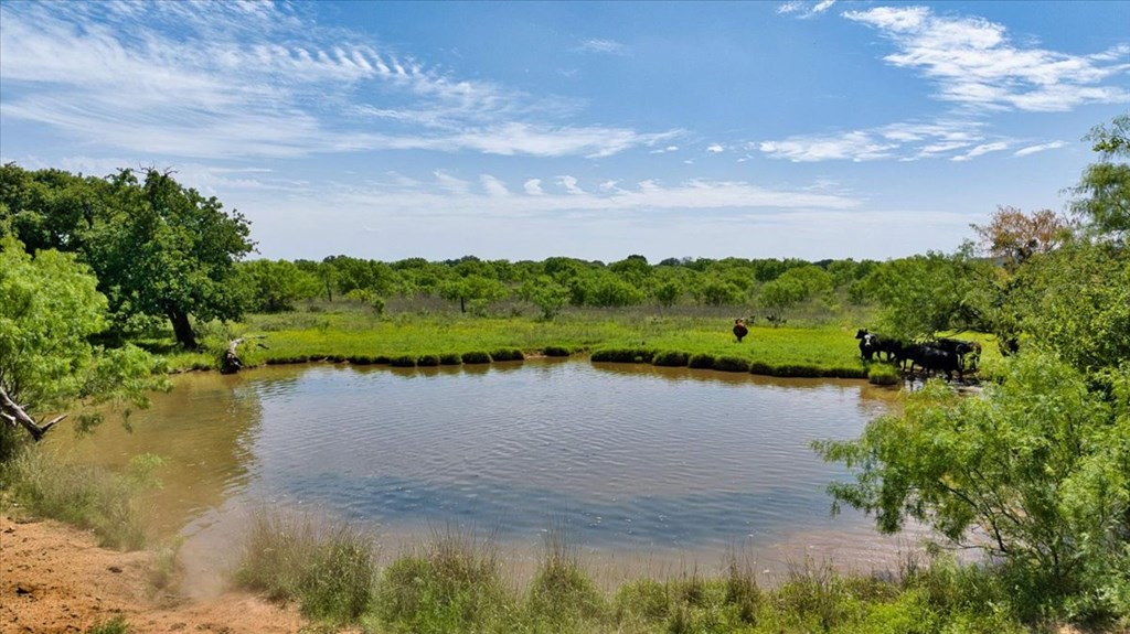 3676 Red Lane Mason, TX 76856 - Photo 67 of 93