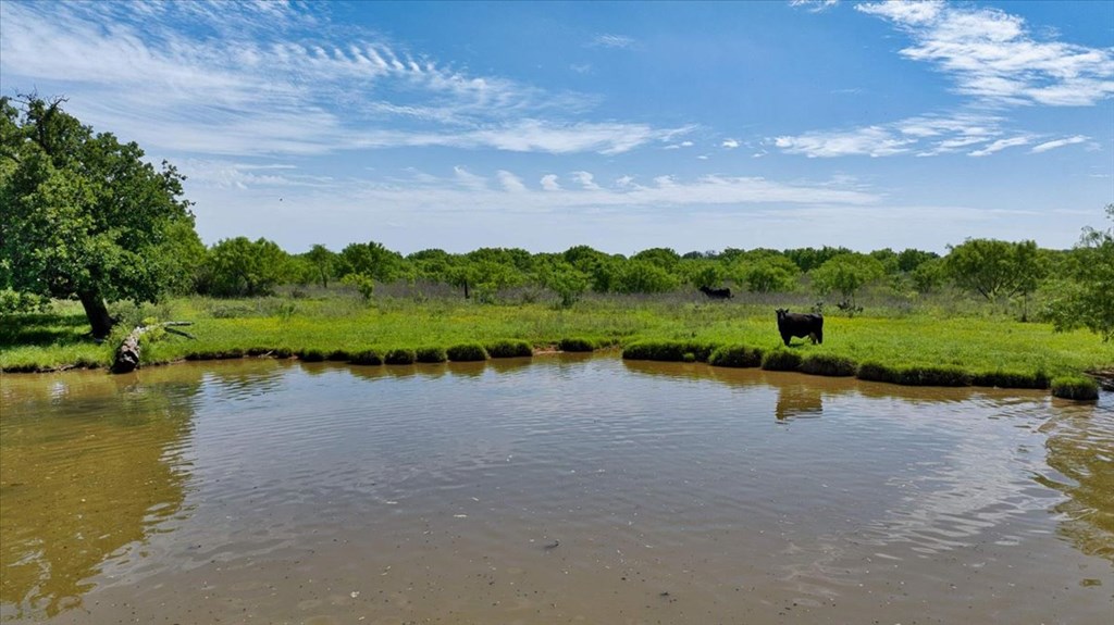 3676 Red Lane Mason, TX 76856 - Photo 68 of 93