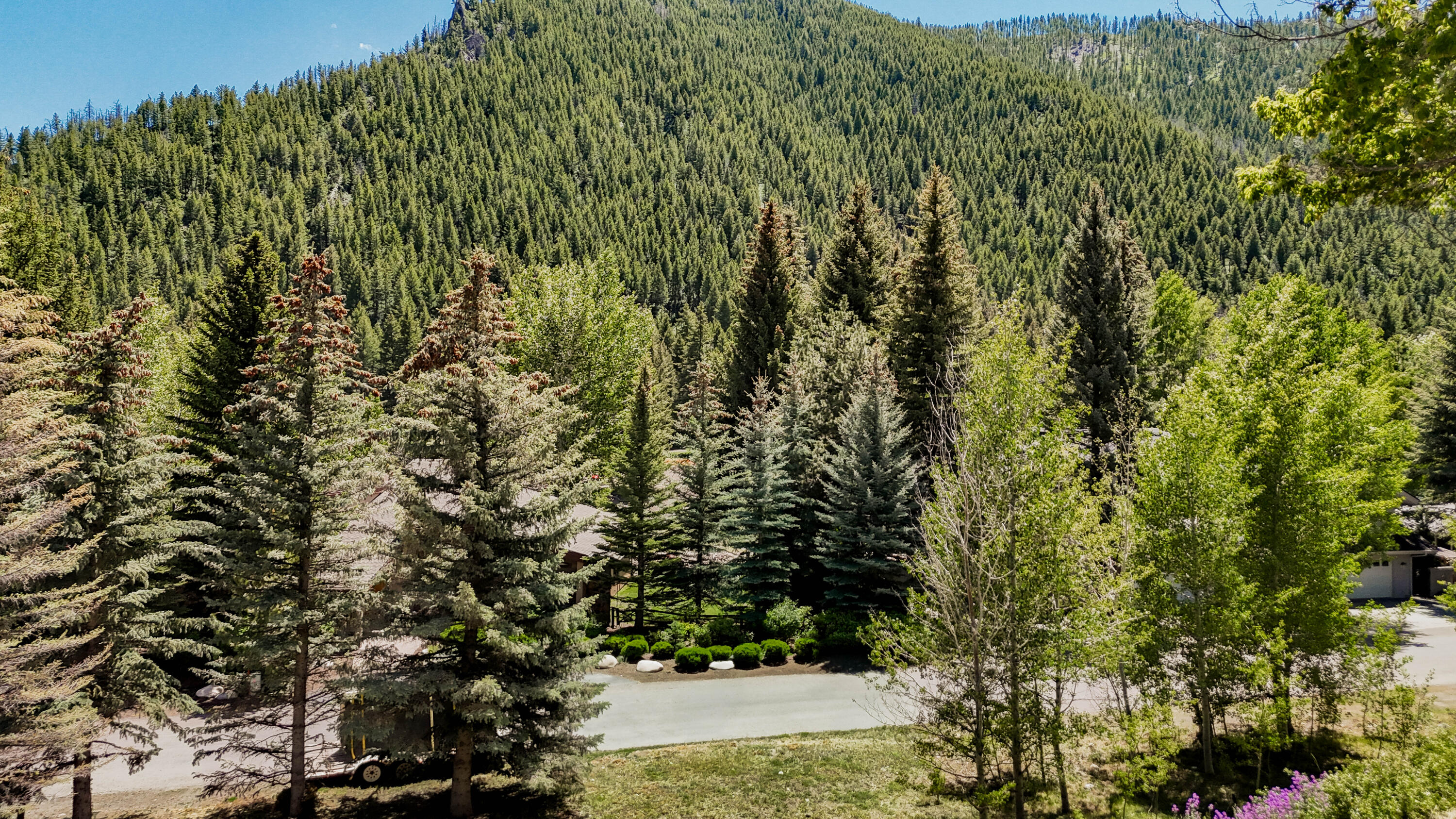 Tbd Bald Mountain Road Ketchum, ID 83340 - Photo 4 of 8 View from 2nd story (SW)