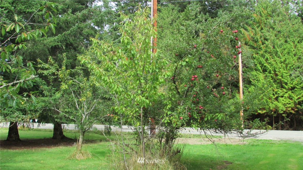 860 4 Corners Road Port Townsend, WA 98368 - Photo 14 of 17 Gallery Image 14