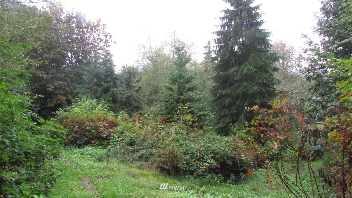 860 4 Corners Road Port Townsend, WA 98368 - Photo 9 of 17 Gallery Image 9