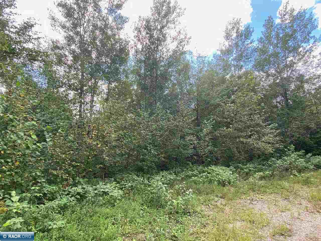 Tbd Lot 9 Wilderness Way Road Orr, MN 55771 - Photo 27 of 27 Gallery Image 27