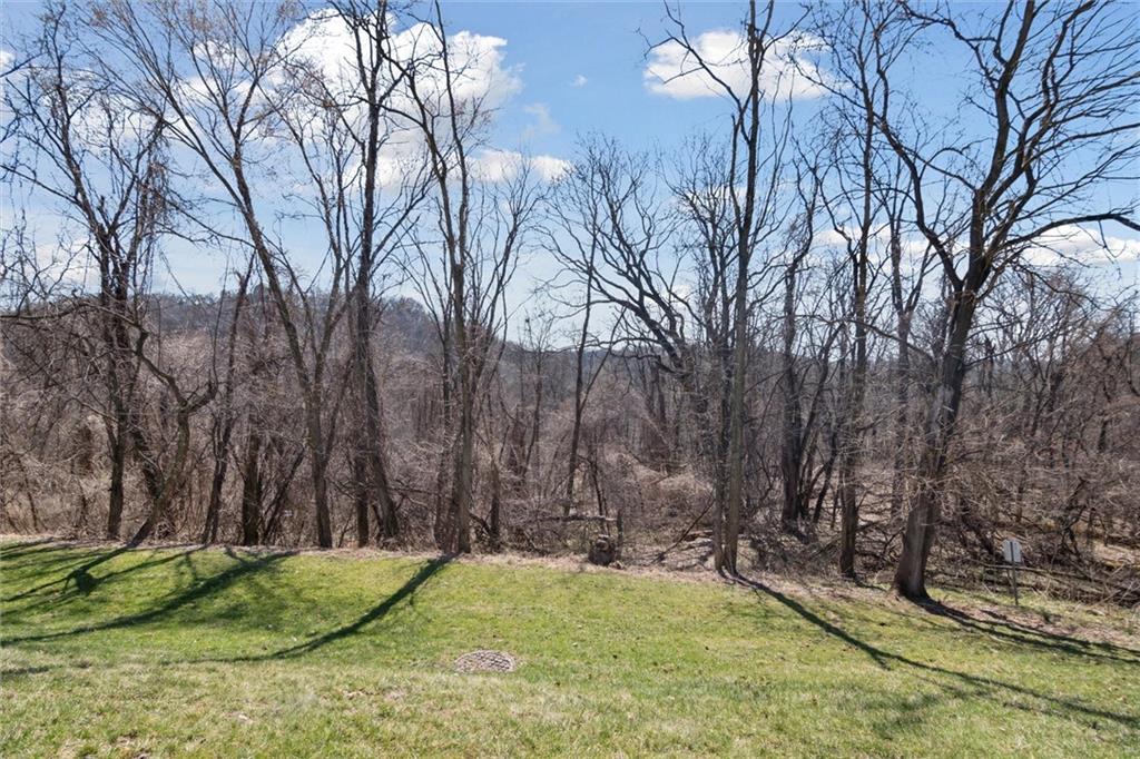 412 Chandler Place Pittsburgh, PA 15212 - Photo 38 of 38 a backyard of a house with lots of green space