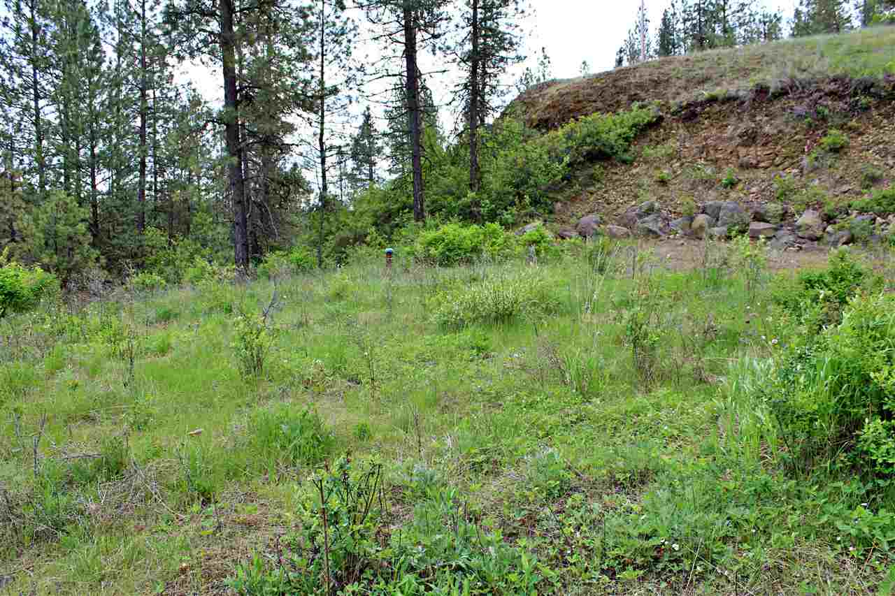 10413 North Brooks Road Spokane, WA 99224 - Photo 1 of 20