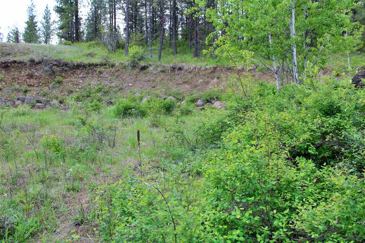 10413 North Brooks Road Spokane, WA 99224 - Photo 2 of 20