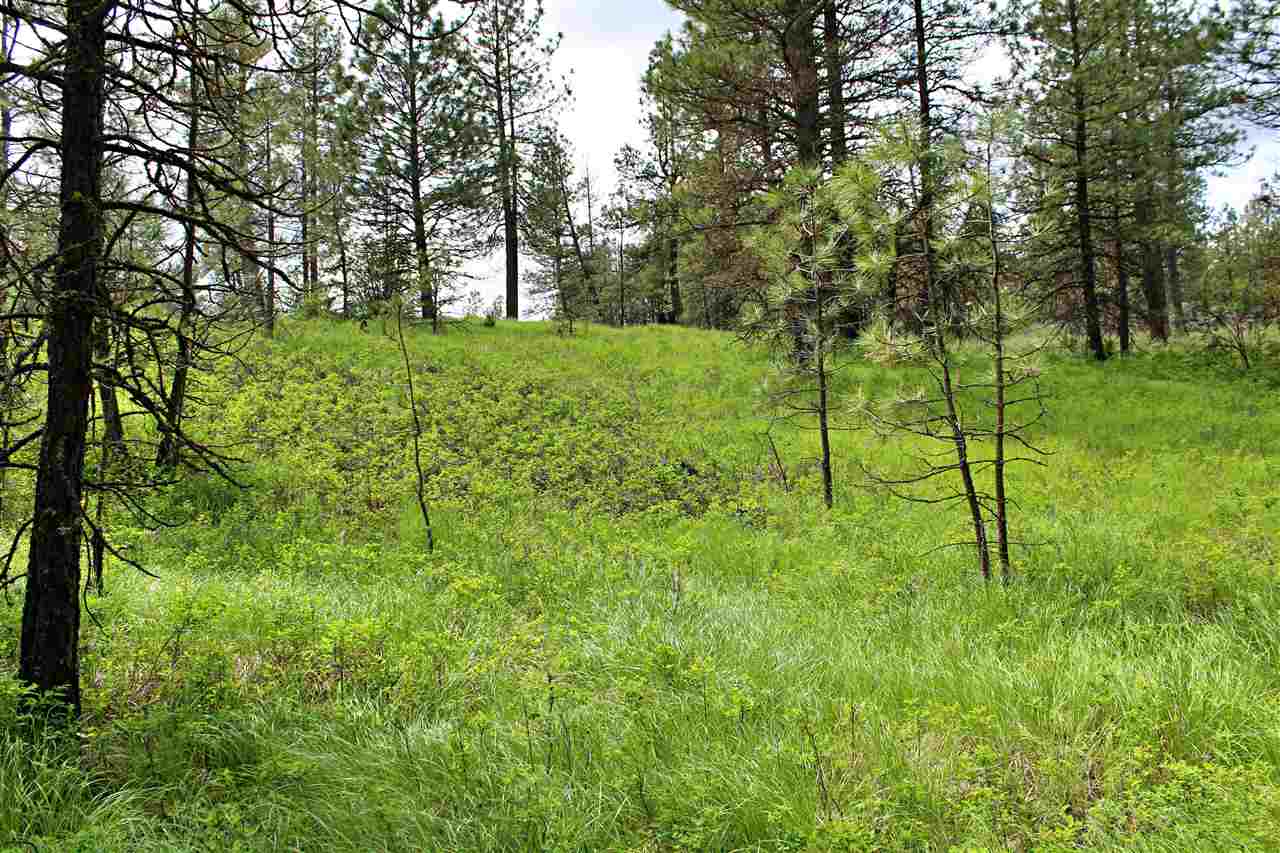 10413 North Brooks Road Spokane, WA 99224 - Photo 11 of 20