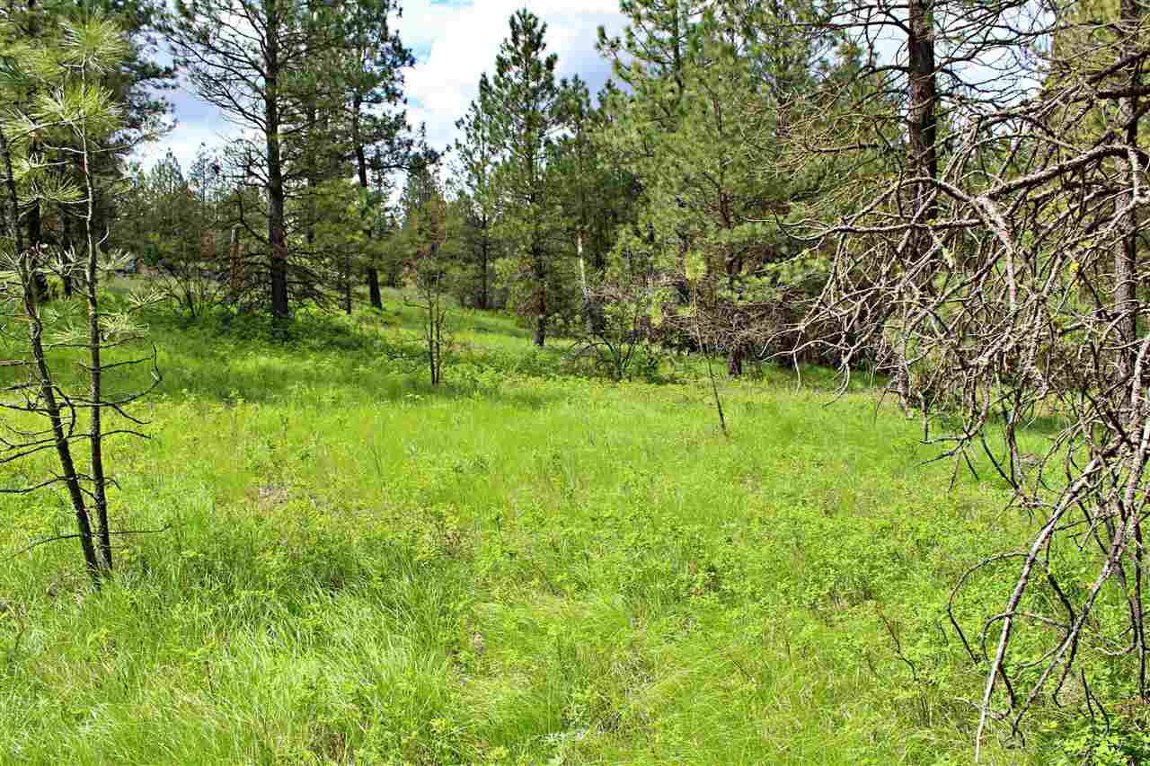 10413 North Brooks Road Spokane, WA 99224 - Photo 12 of 20