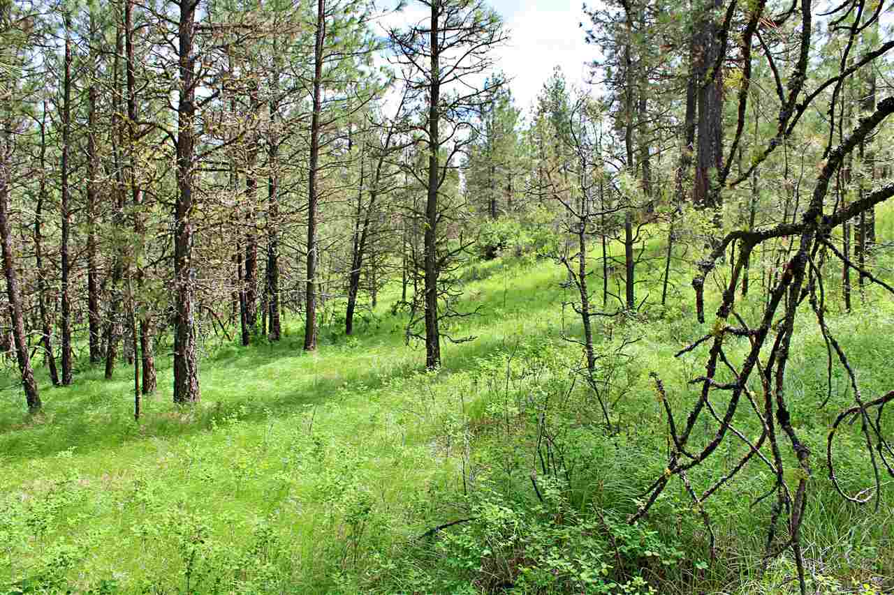 10413 North Brooks Road Spokane, WA 99224 - Photo 13 of 20