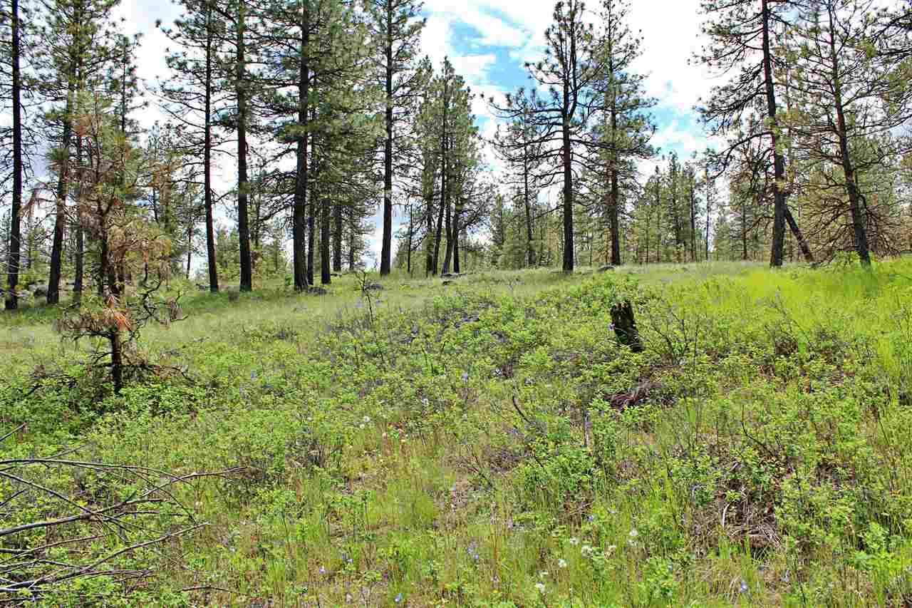 10413 North Brooks Road Spokane, WA 99224 - Photo 14 of 20