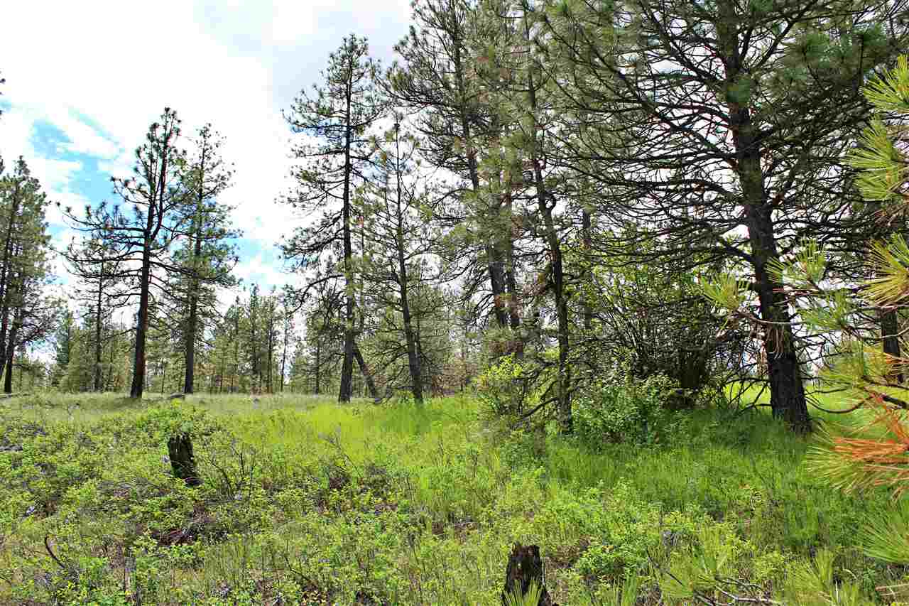 10413 North Brooks Road Spokane, WA 99224 - Photo 15 of 20