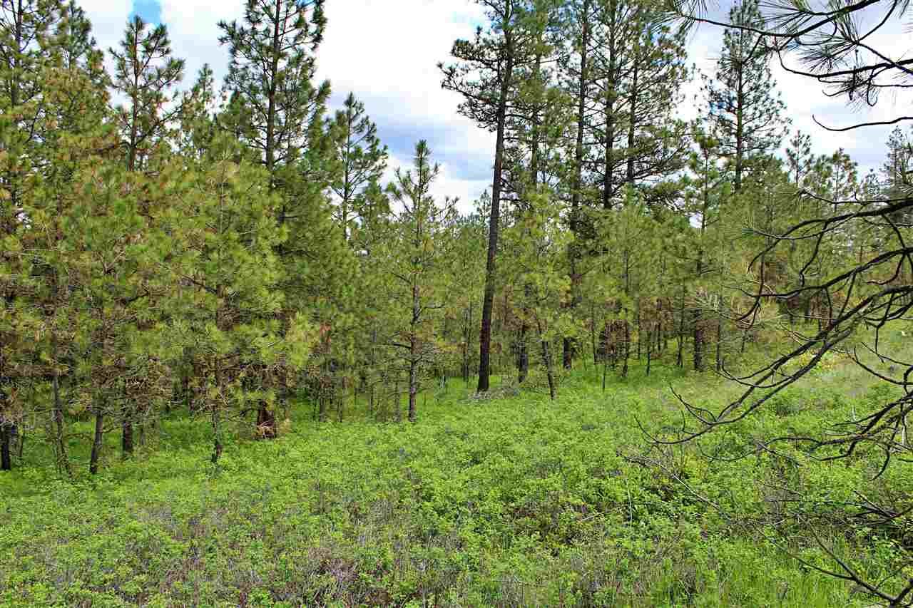 10413 North Brooks Road Spokane, WA 99224 - Photo 16 of 20