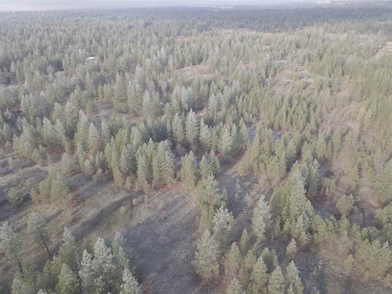 10413 North Brooks Road Spokane, WA 99224 - Photo 18 of 20