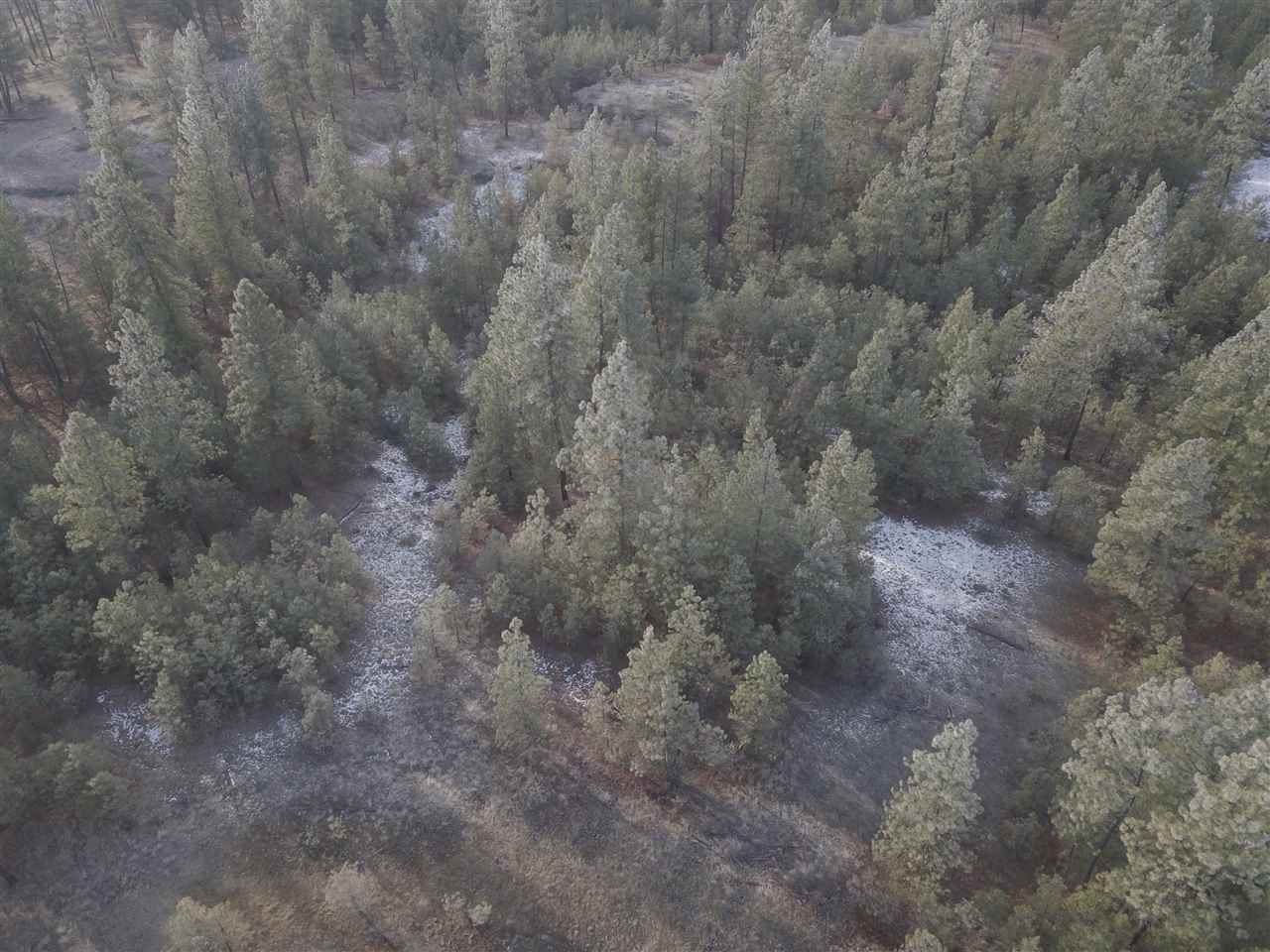 10413 North Brooks Road Spokane, WA 99224 - Photo 19 of 20