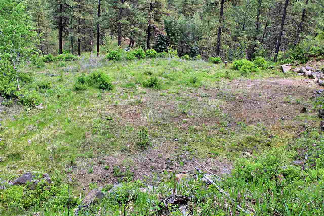 10413 North Brooks Road Spokane, WA 99224 - Photo 7 of 20