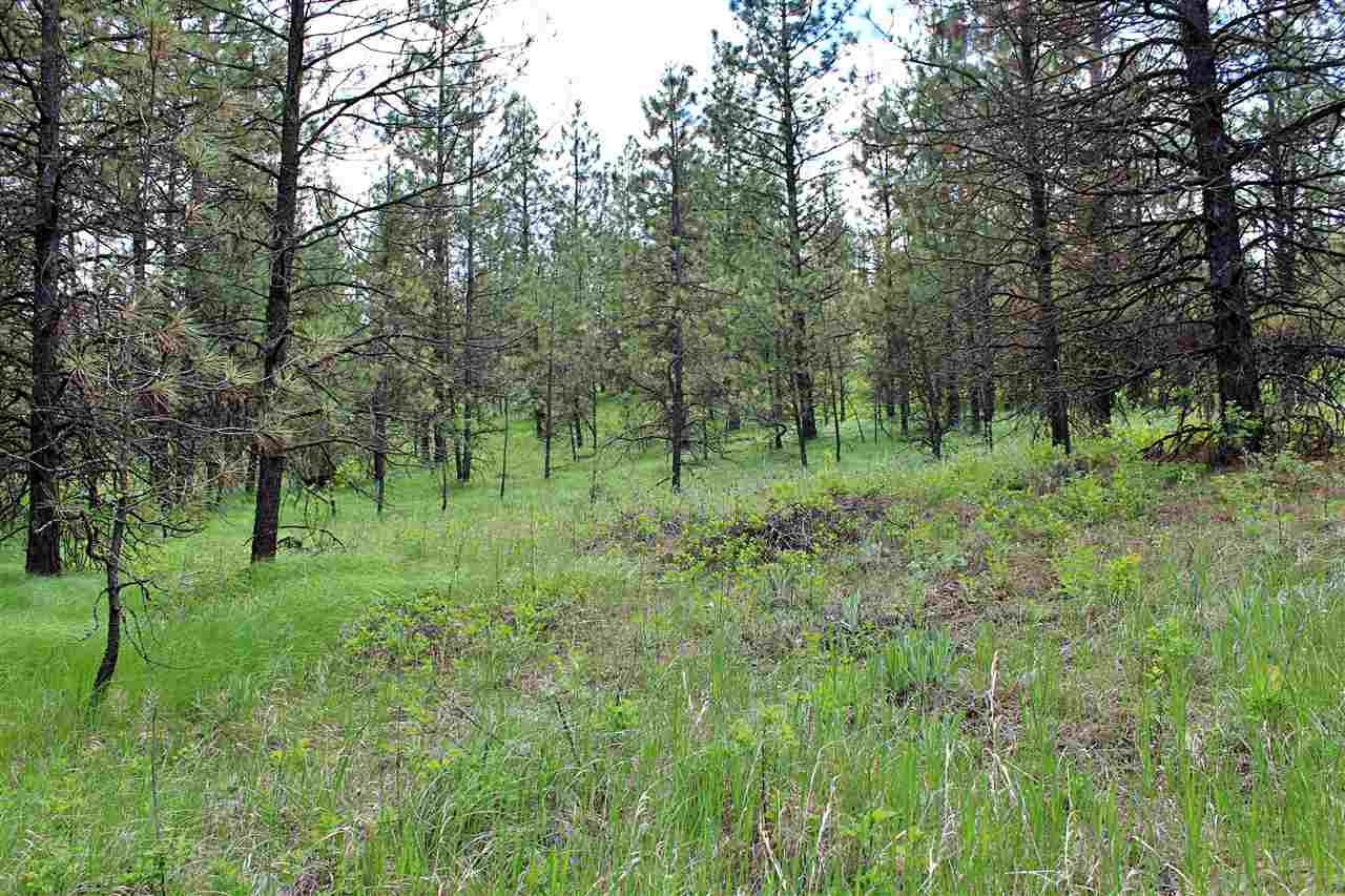 10413 North Brooks Road Spokane, WA 99224 - Photo 8 of 20
