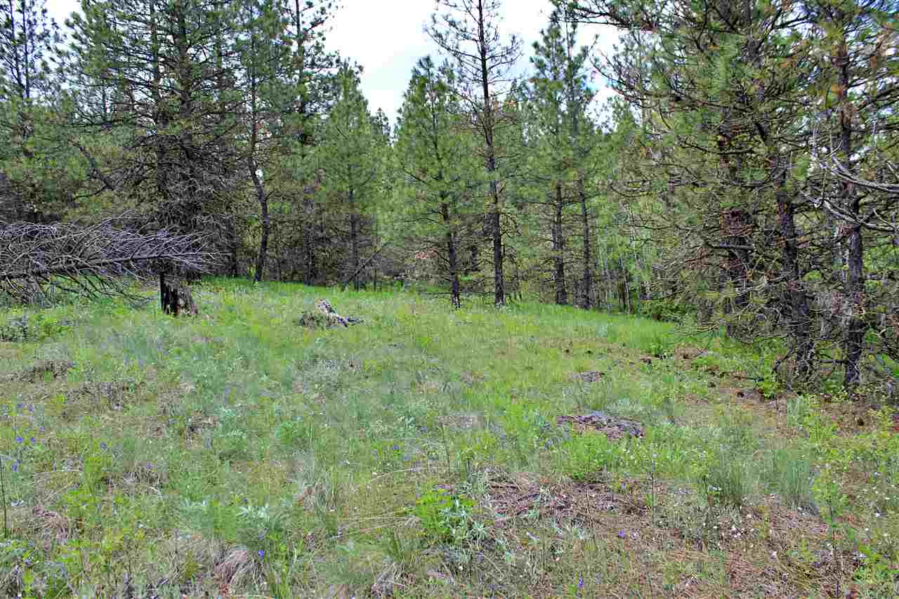 10413 North Brooks Road Spokane, WA 99224 - Photo 9 of 20