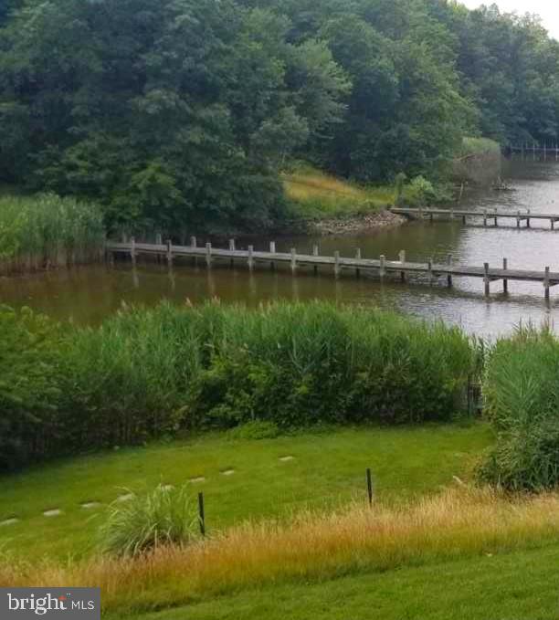 740 Powhatan Beach Road Pasadena, MD 21122 - Photo 33 of 39 Exceptional natural beauty