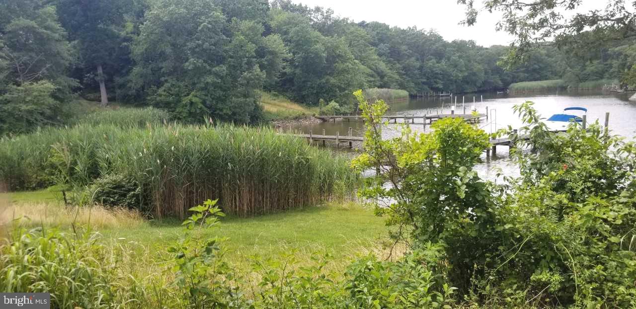 740 Powhatan Beach Road Pasadena, MD 21122 - Photo 35 of 39 Beautiful natural landscape