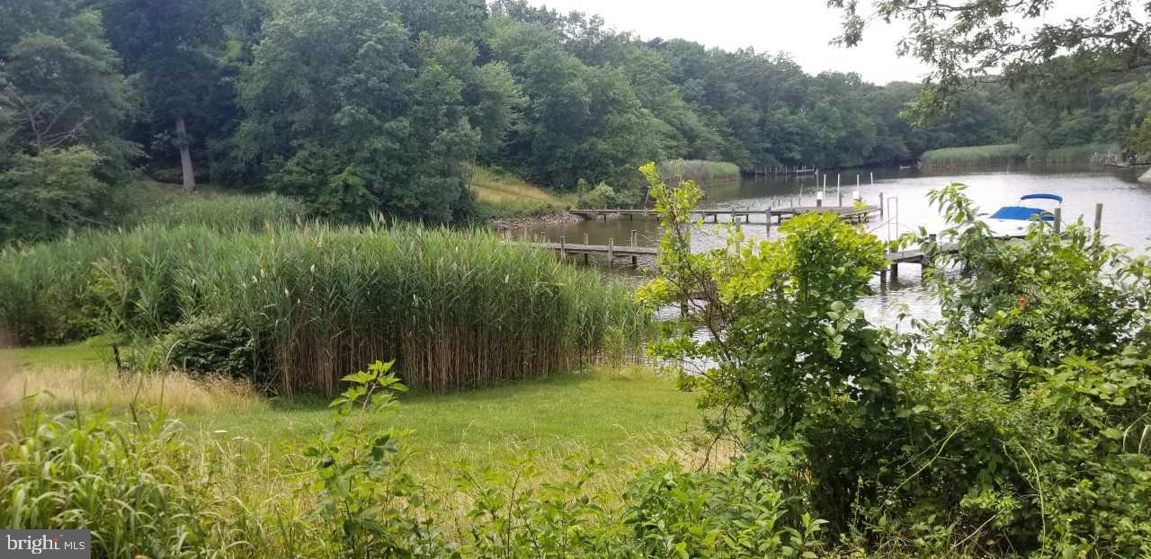 740 Powhatan Beach Road Pasadena, MD 21122 - Photo 36 of 39 Beautiful natural landscape