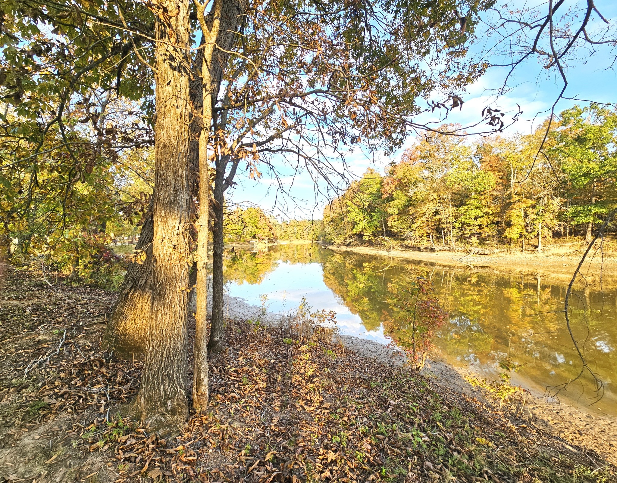 328 Duck Blind Road Clifton, TN 38425 - Photo 12 of 32 a view of ocean view with beach
