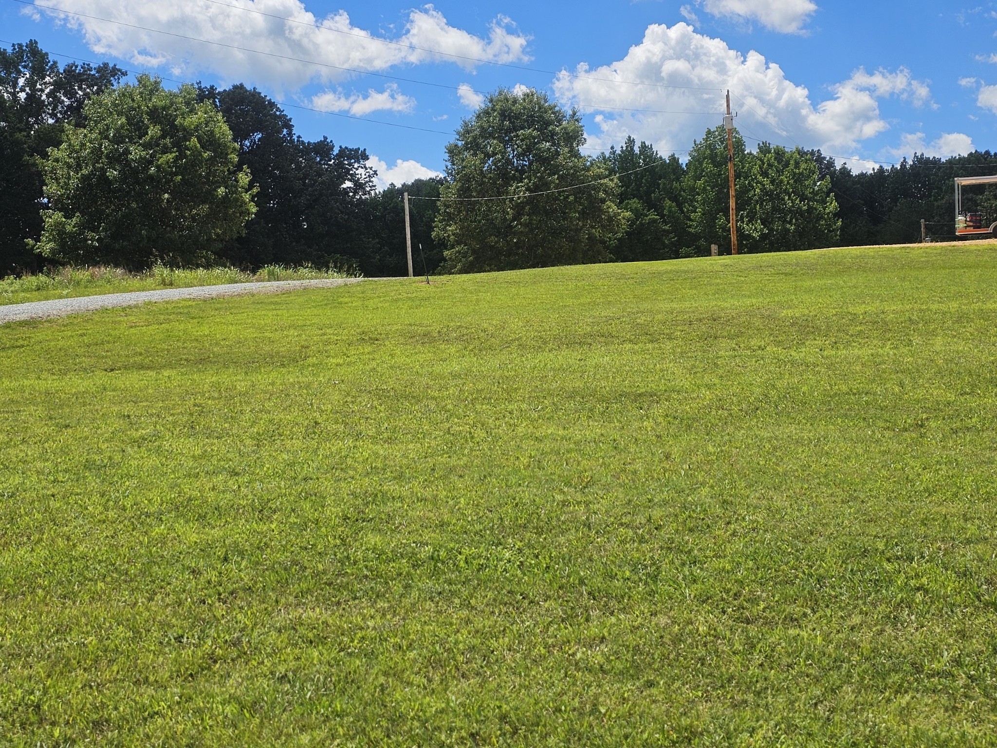 328 Duck Blind Road Clifton, TN 38425 - Photo 20 of 32 a view of a field with an trees in the background