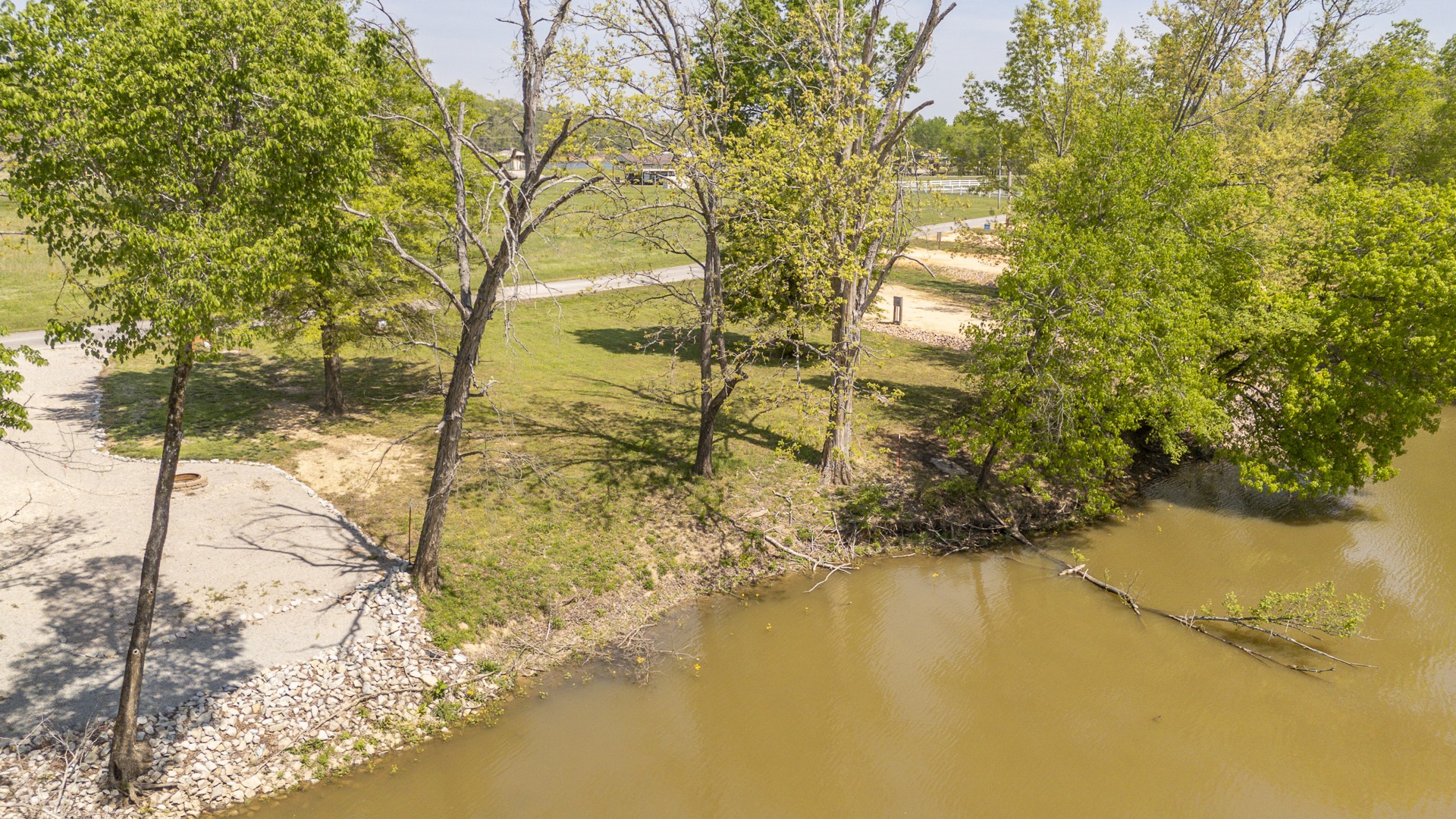 328 Duck Blind Road Clifton, TN 38425 - Photo 3 of 32 a yard with a tree