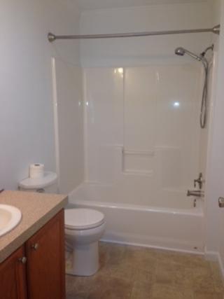 809 Gap Bridge Road Moneta, VA 24121 - Photo 3 of 11 a bathroom with a shower a toilet and sink
