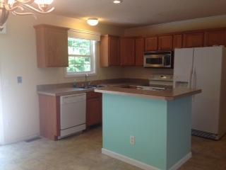 809 Gap Bridge Road Moneta, VA 24121 - Photo 4 of 11 a kitchen with a sink a microwave a refrigerator and cabinets