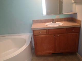 809 Gap Bridge Road Moneta, VA 24121 - Photo 9 of 11 a bathroom with a sink and a bathtub