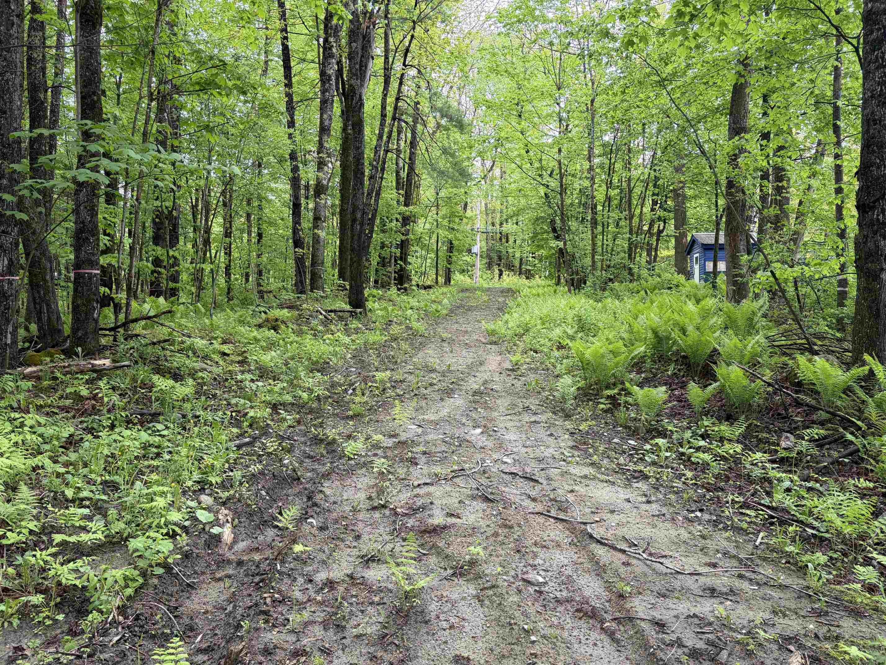 114 Lewis Hill Road Bethlehem, NH 03574 - Photo 9 of 12