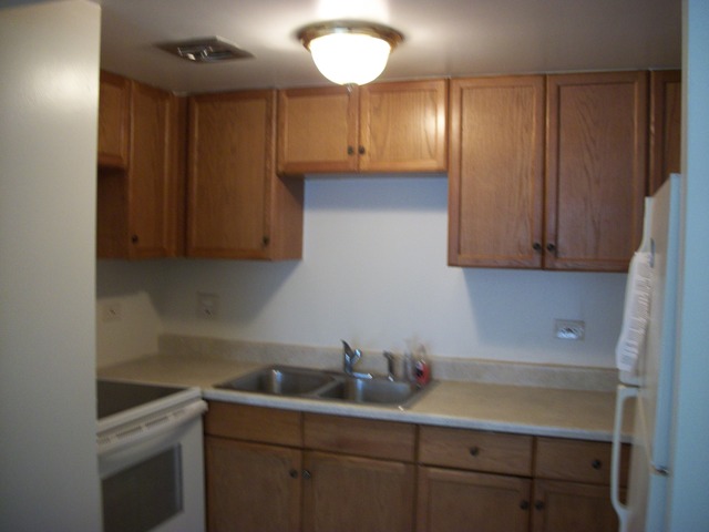 454 Spring Road, Unit 4 Elmhurst, IL 60126 - Photo 3 of 9