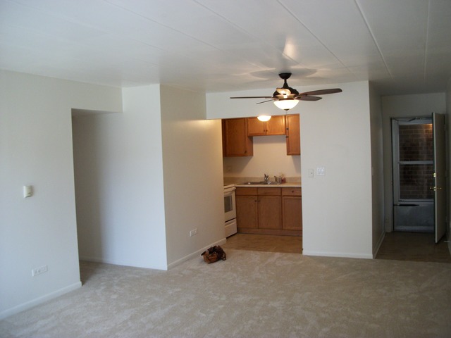 454 Spring Road, Unit 4 Elmhurst, IL 60126 - Photo 5 of 9