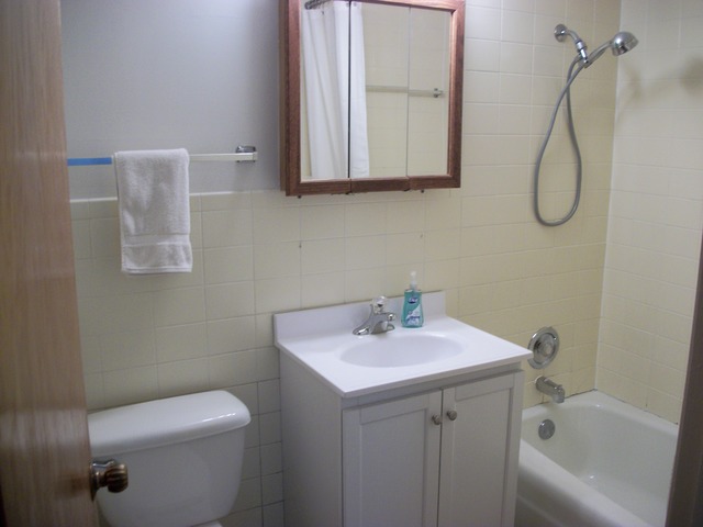454 Spring Road, Unit 4 Elmhurst, IL 60126 - Photo 6 of 9