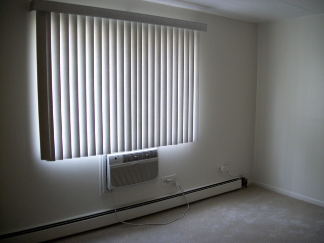 454 Spring Road, Unit 4 Elmhurst, IL 60126 - Photo 7 of 9