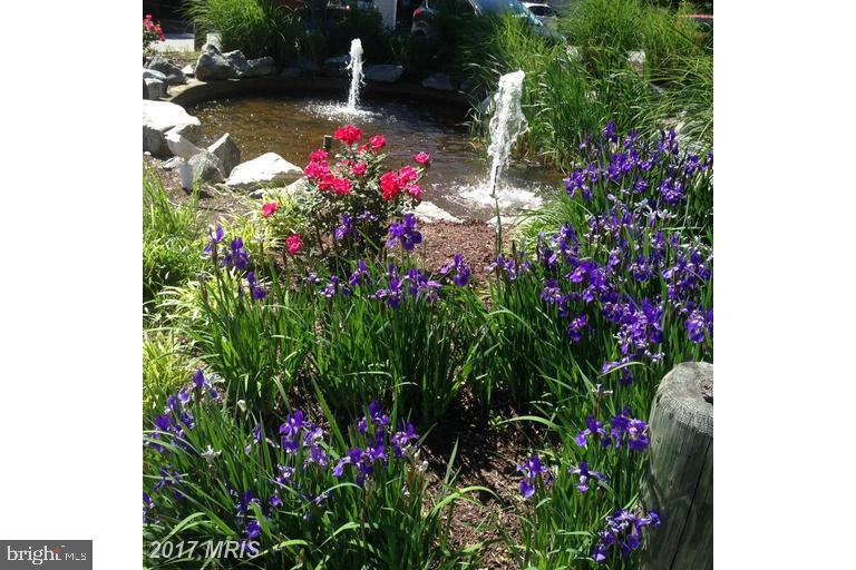 902 Spinnaker Way, Unit 902 Solomons, MD 20688 - Photo 6 of 18 Gardens