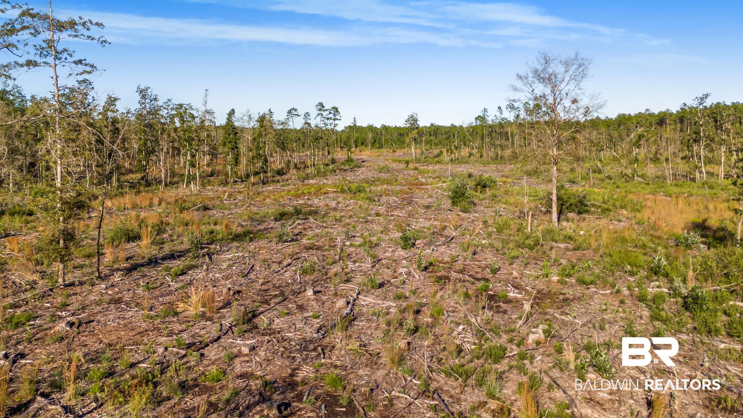 0 County Road 112 Robertsdale, AL 36567 - Photo 26 of 33 View of landscape