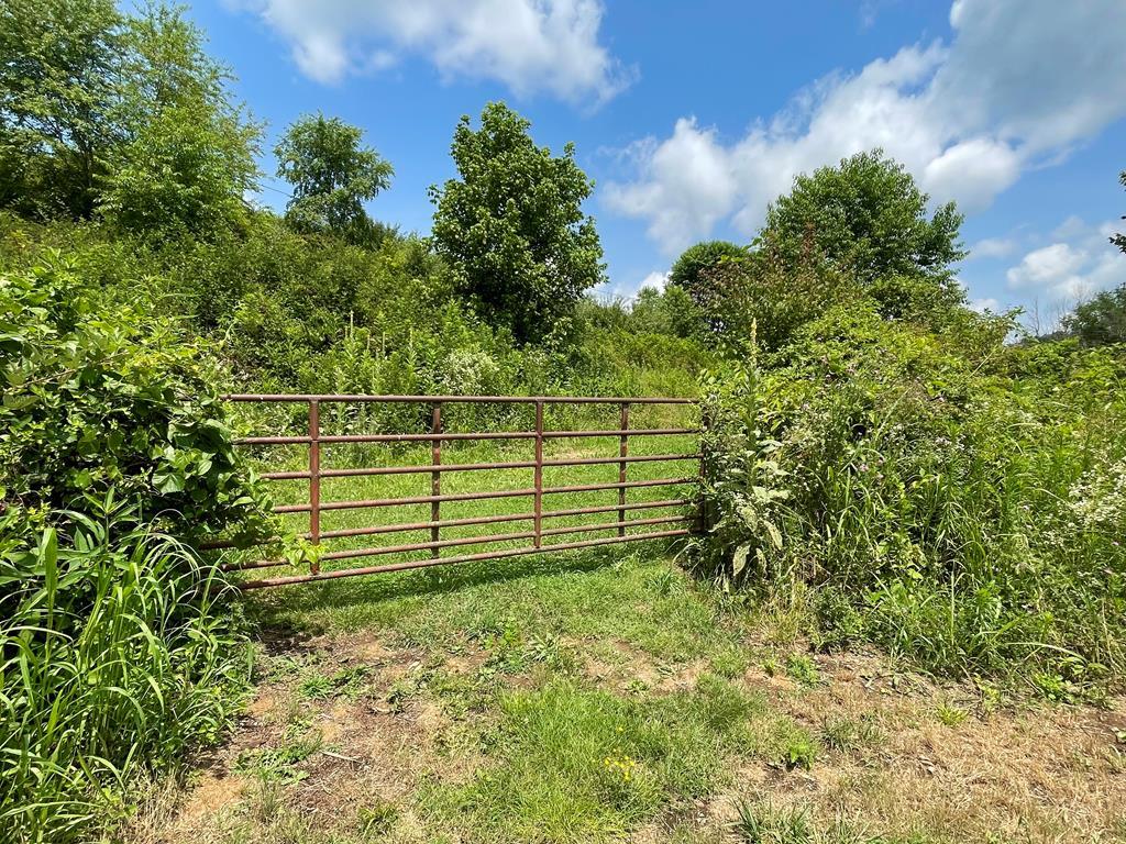 Tbd Monroe Road Meadowview, VA 24361 - Photo 2 of 9 Gallery Image 2