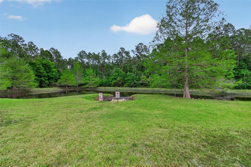 4729 Northeast 16th Terrace Gainesville, FL 32609 - Photo 4 of 41 a backyard of a house with lots of green space