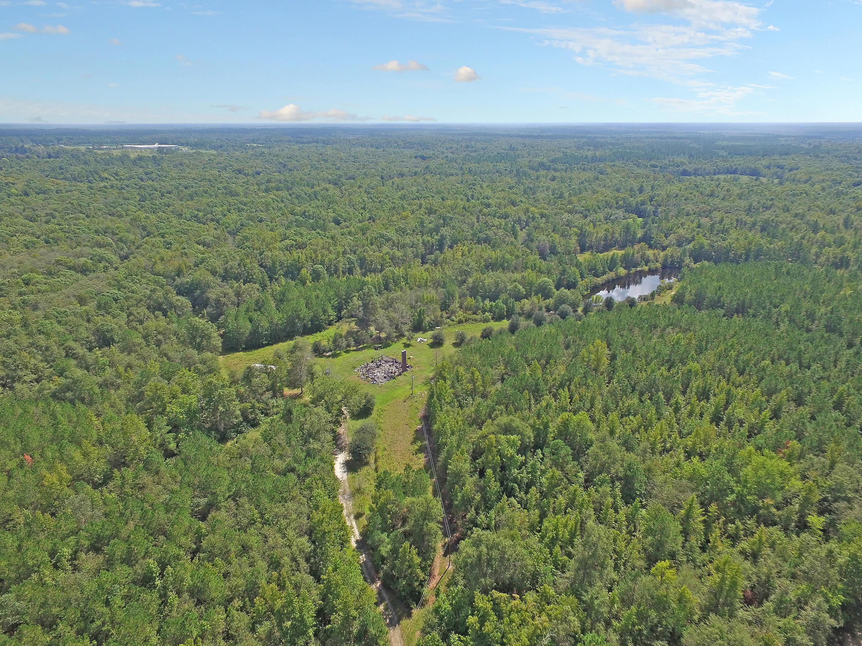 505 Dutch Neck Road Kingstree, SC 29556 - Photo 11 of 28 Lots of Acerage