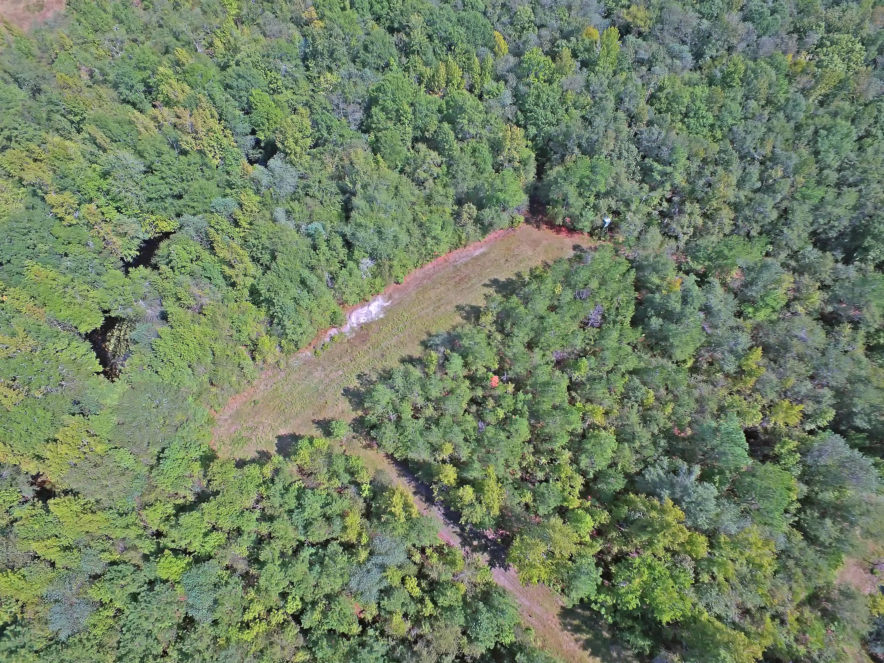 505 Dutch Neck Road Kingstree, SC 29556 - Photo 14 of 28 Cleared Field
