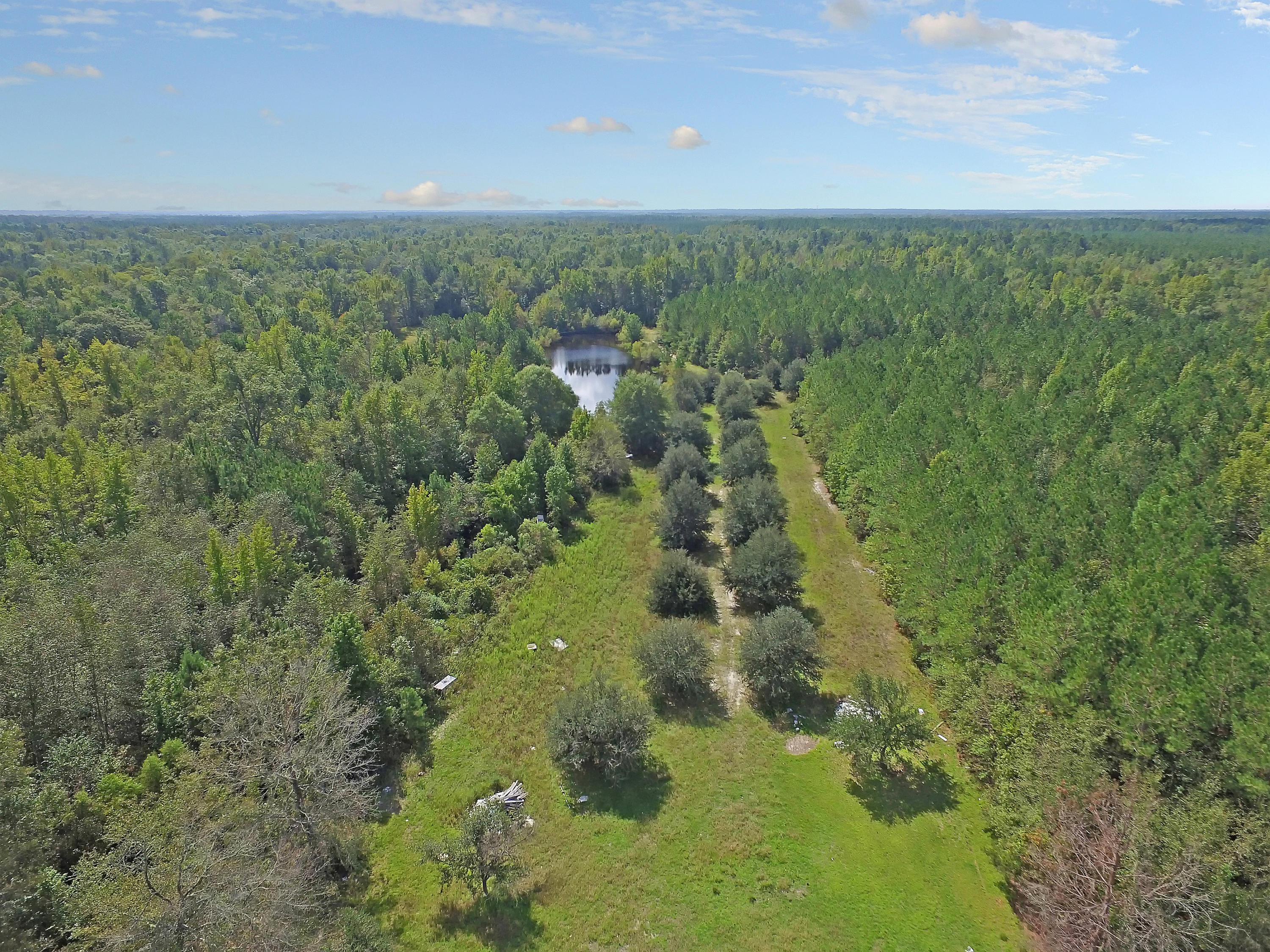 505 Dutch Neck Road Kingstree, SC 29556 - Photo 15 of 28 Cleared Driveway in Place