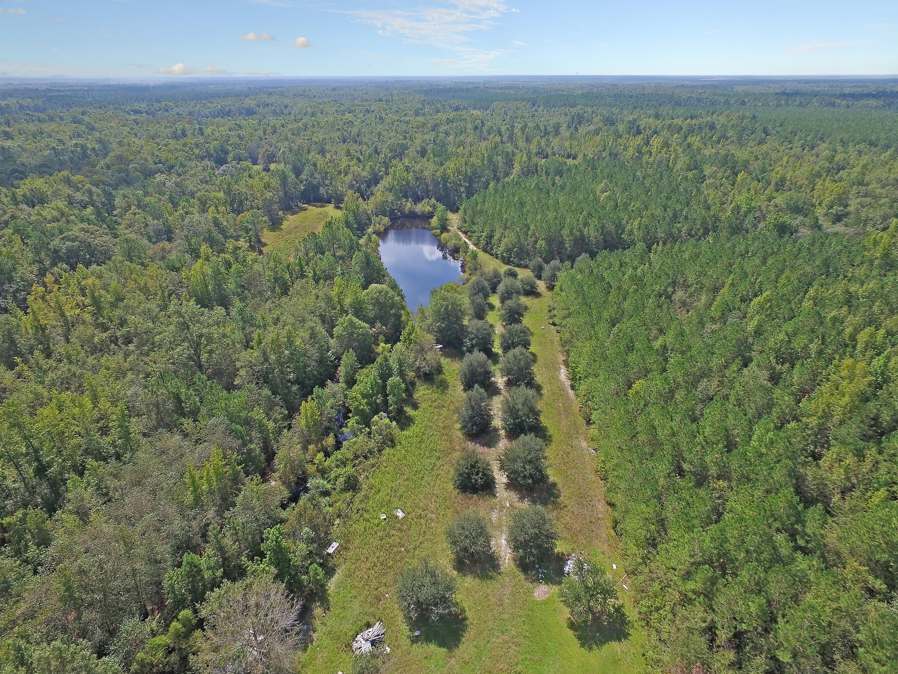 505 Dutch Neck Road Kingstree, SC 29556 - Photo 16 of 28 Cleared Driveway in Place