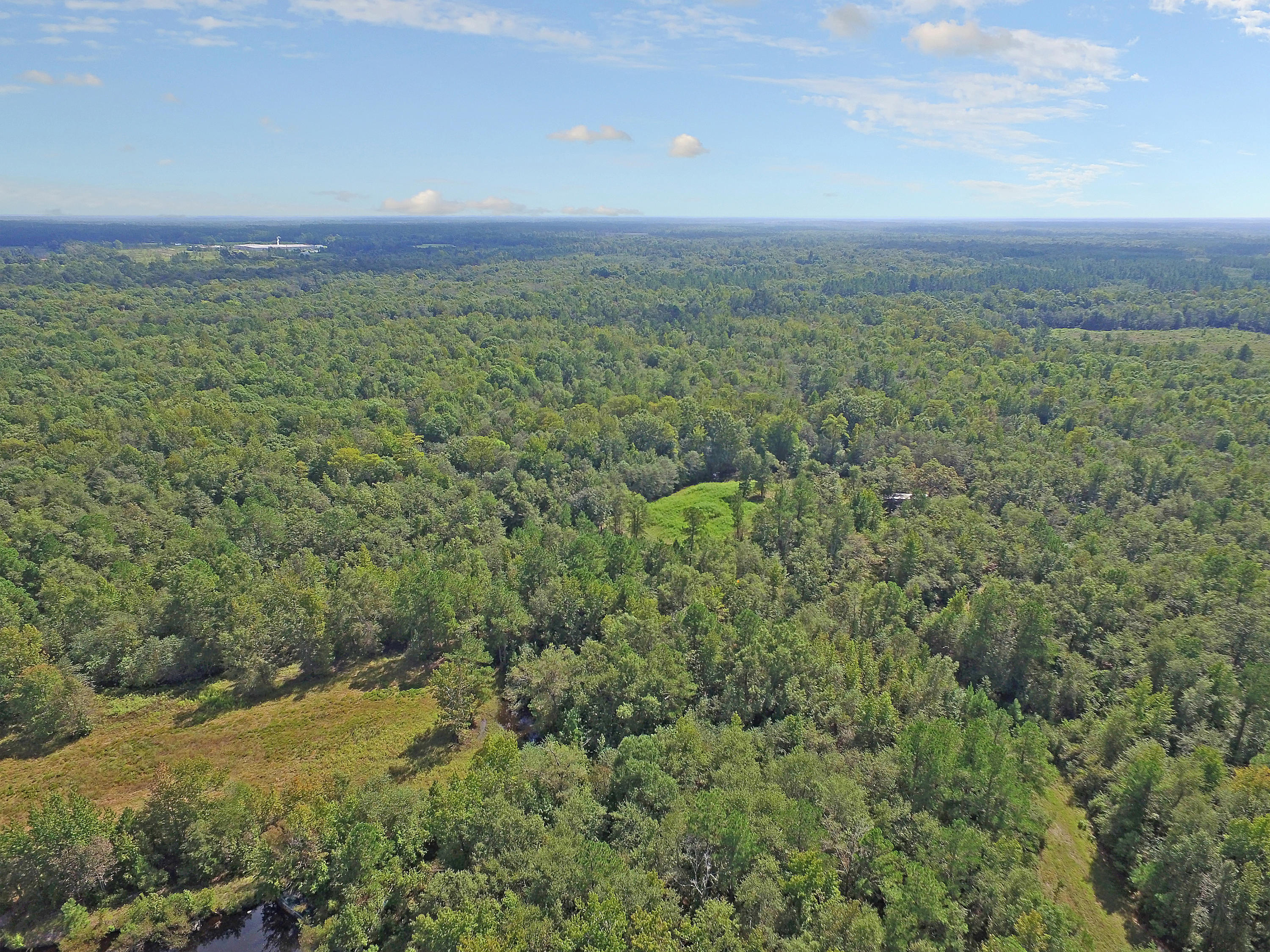 505 Dutch Neck Road Kingstree, SC 29556 - Photo 18 of 28 Amazing Hunting Grounds
