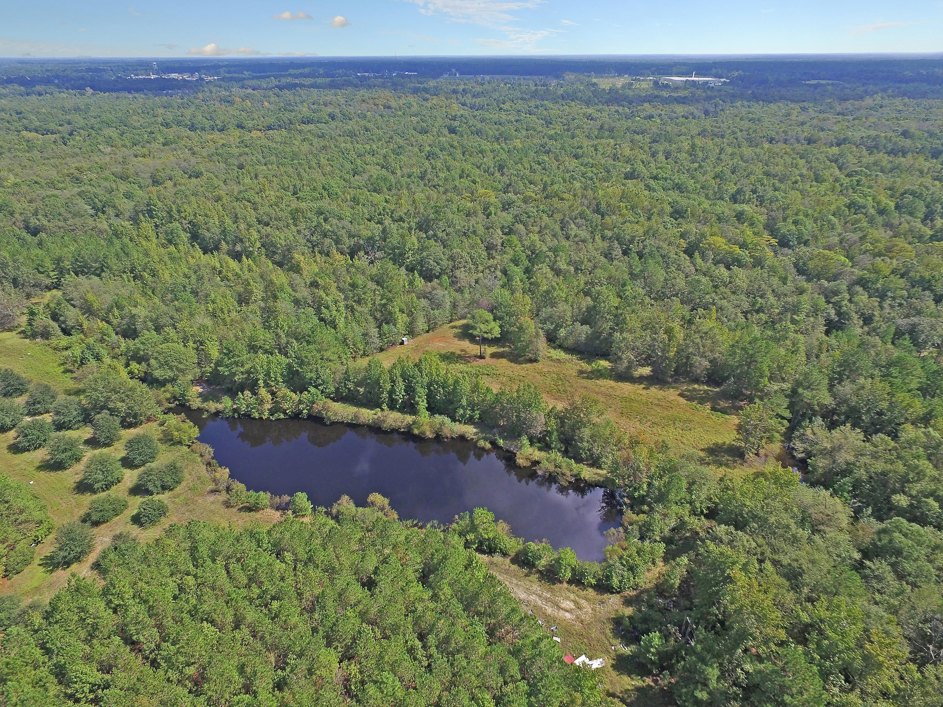 505 Dutch Neck Road Kingstree, SC 29556 - Photo 20 of 28 Pond by Homesite