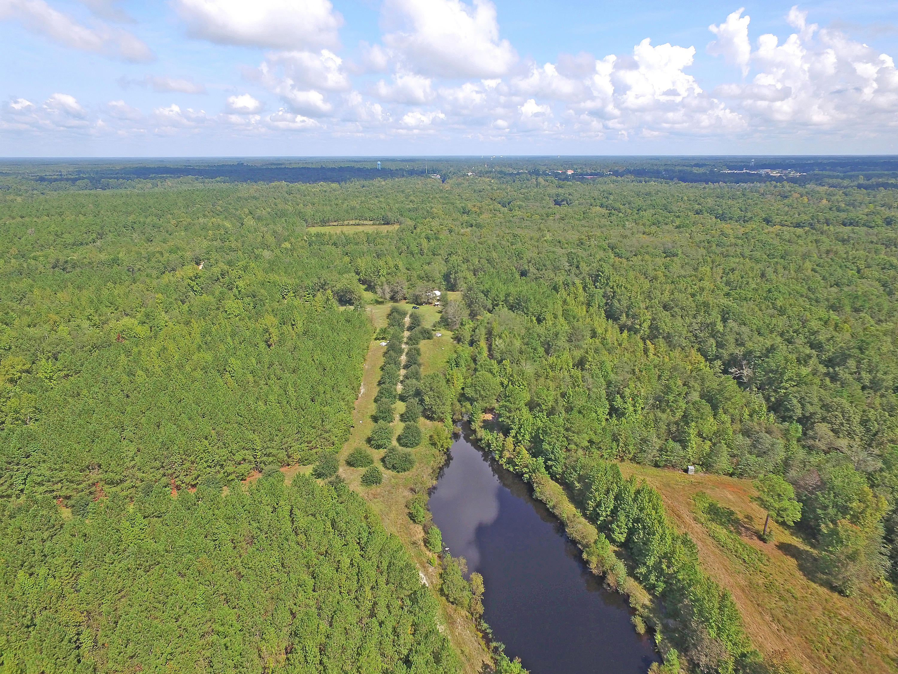 505 Dutch Neck Road Kingstree, SC 29556 - Photo 21 of 28 Pond and Homesite