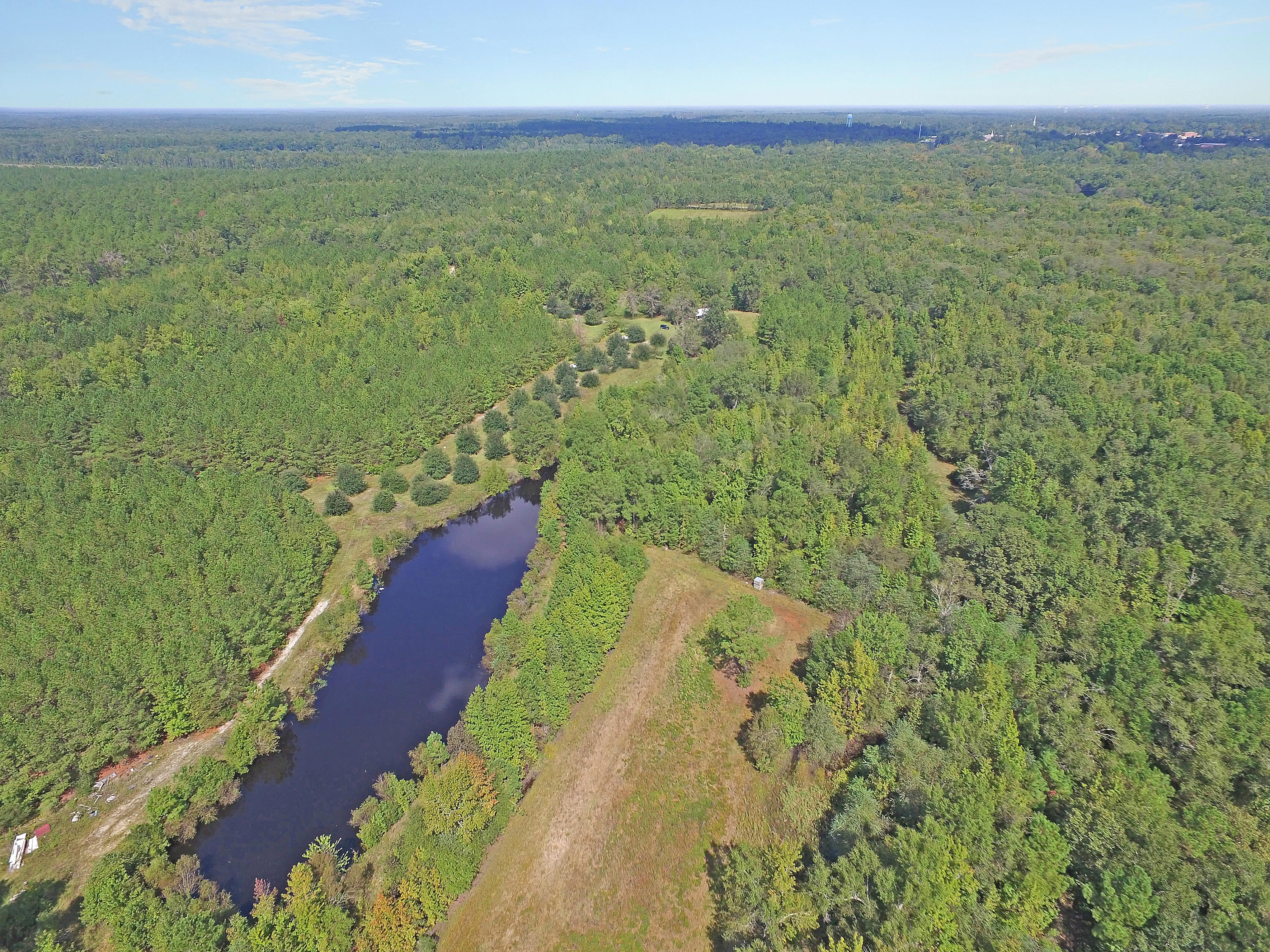 505 Dutch Neck Road Kingstree, SC 29556 - Photo 22 of 28 Pond and Homesite