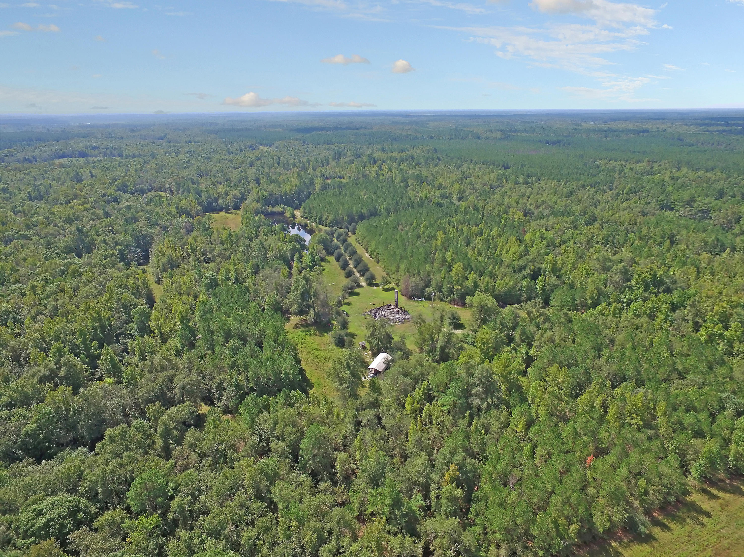 505 Dutch Neck Road Kingstree, SC 29556 - Photo 24 of 28 Amazing Hunting Grounds