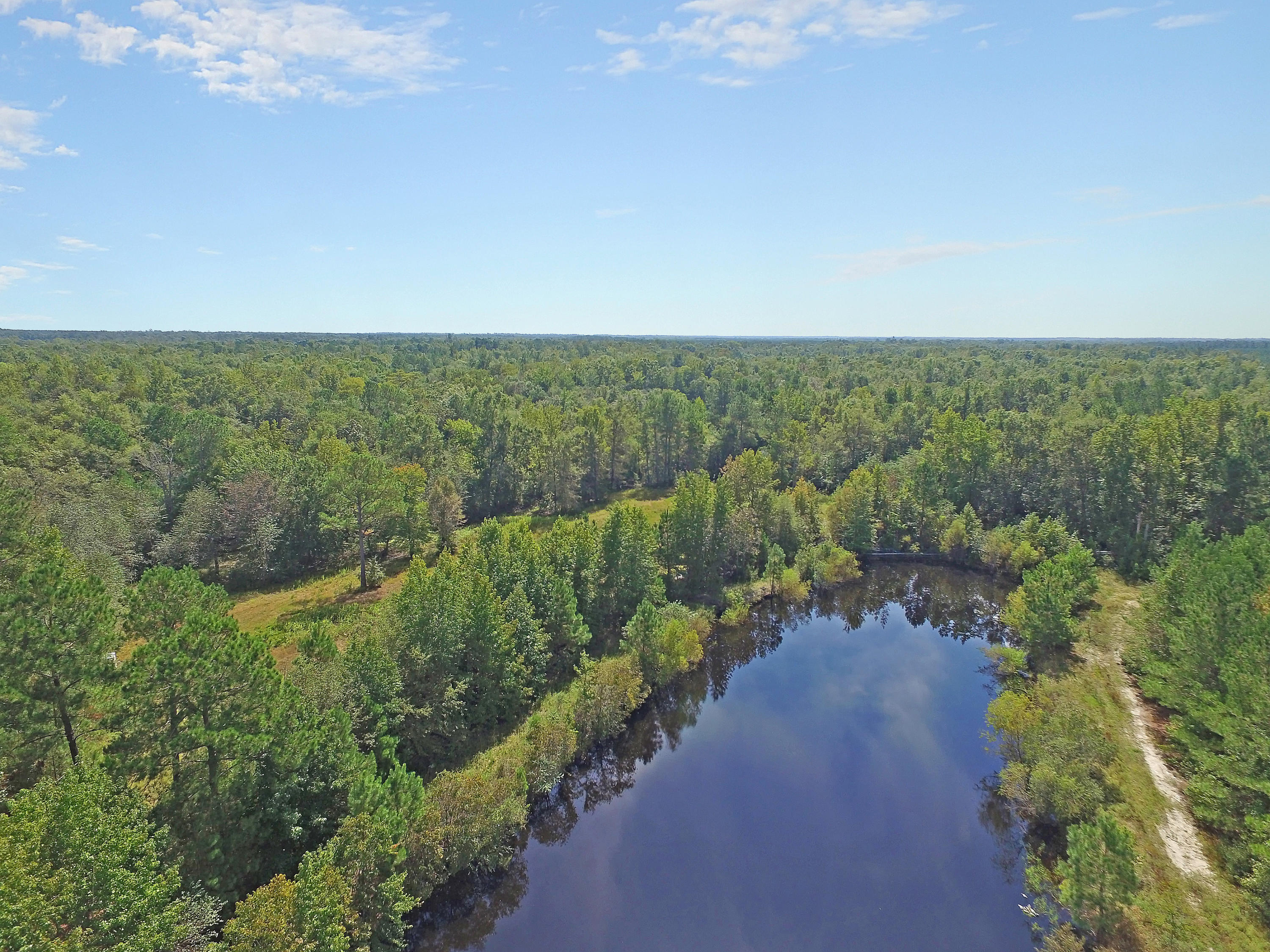 505 Dutch Neck Road Kingstree, SC 29556 - Photo 25 of 28 Pond