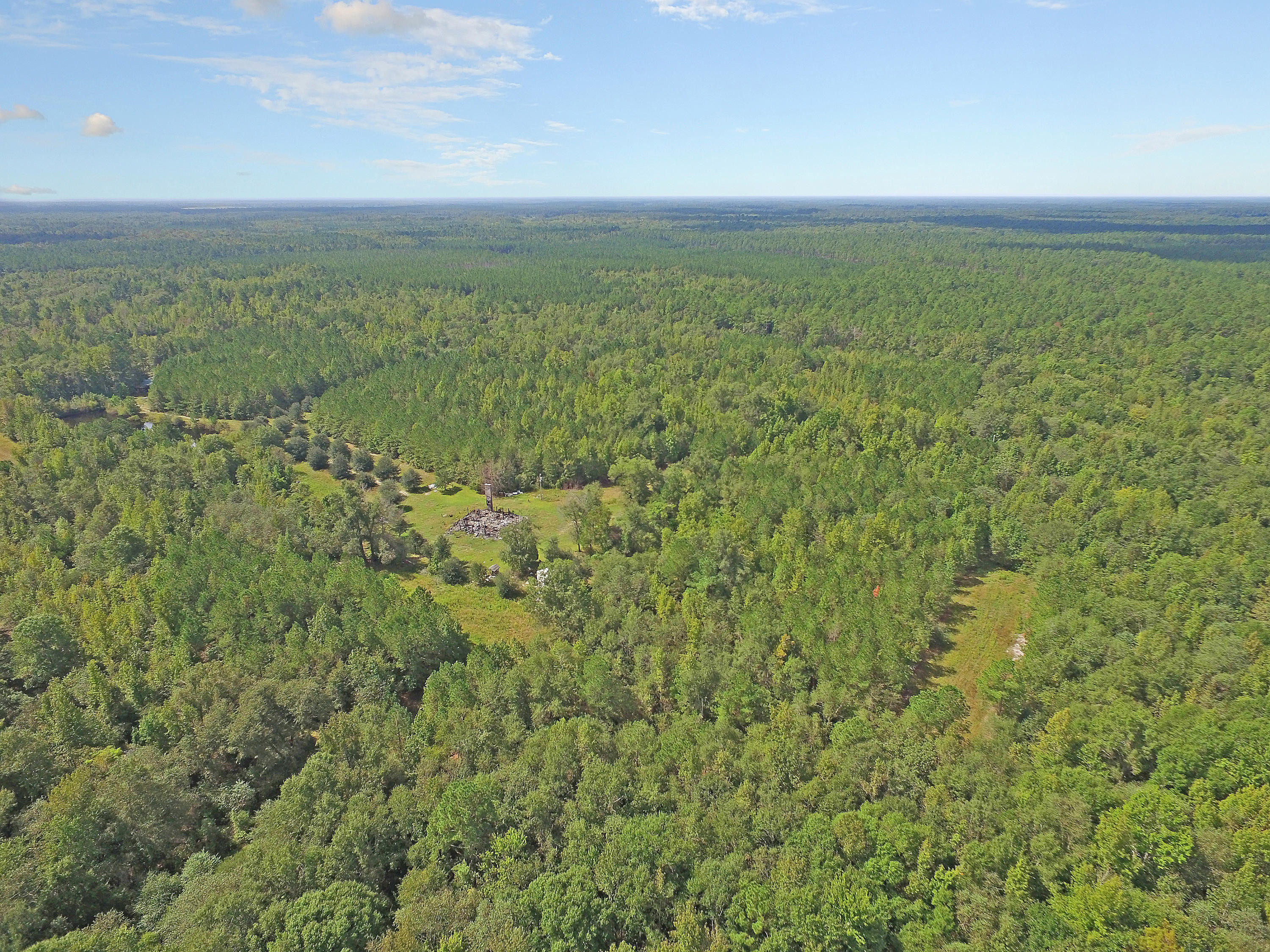 505 Dutch Neck Road Kingstree, SC 29556 - Photo 26 of 28 Amazing Hunting Grounds
