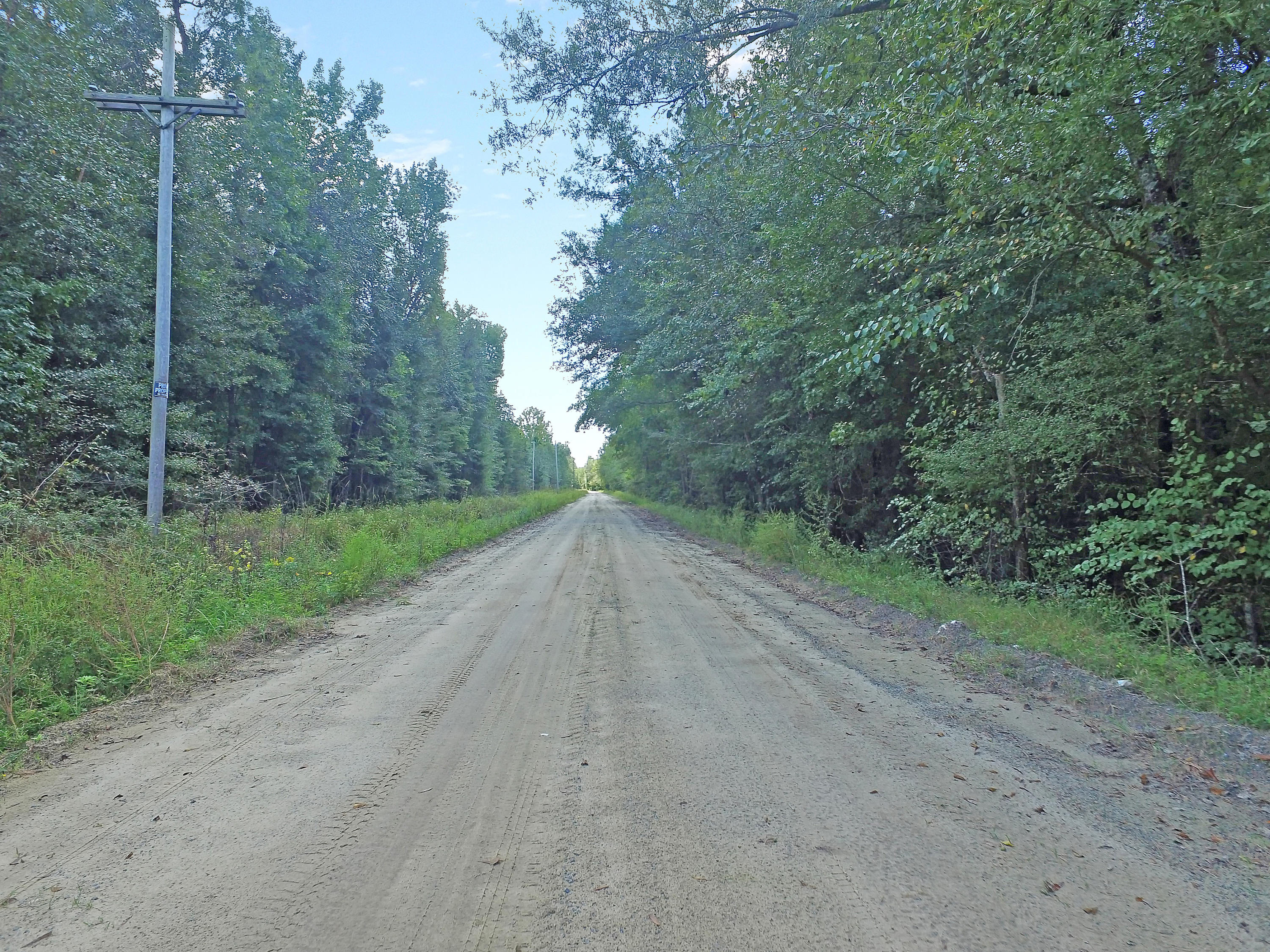 505 Dutch Neck Road Kingstree, SC 29556 - Photo 28 of 28 Roadway